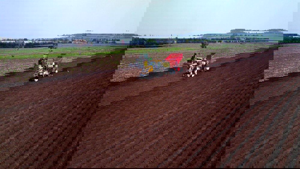 Good Local Food Farm