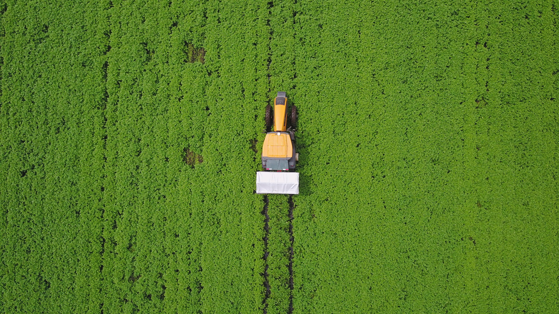 Tractor working in a potato field in Kenya