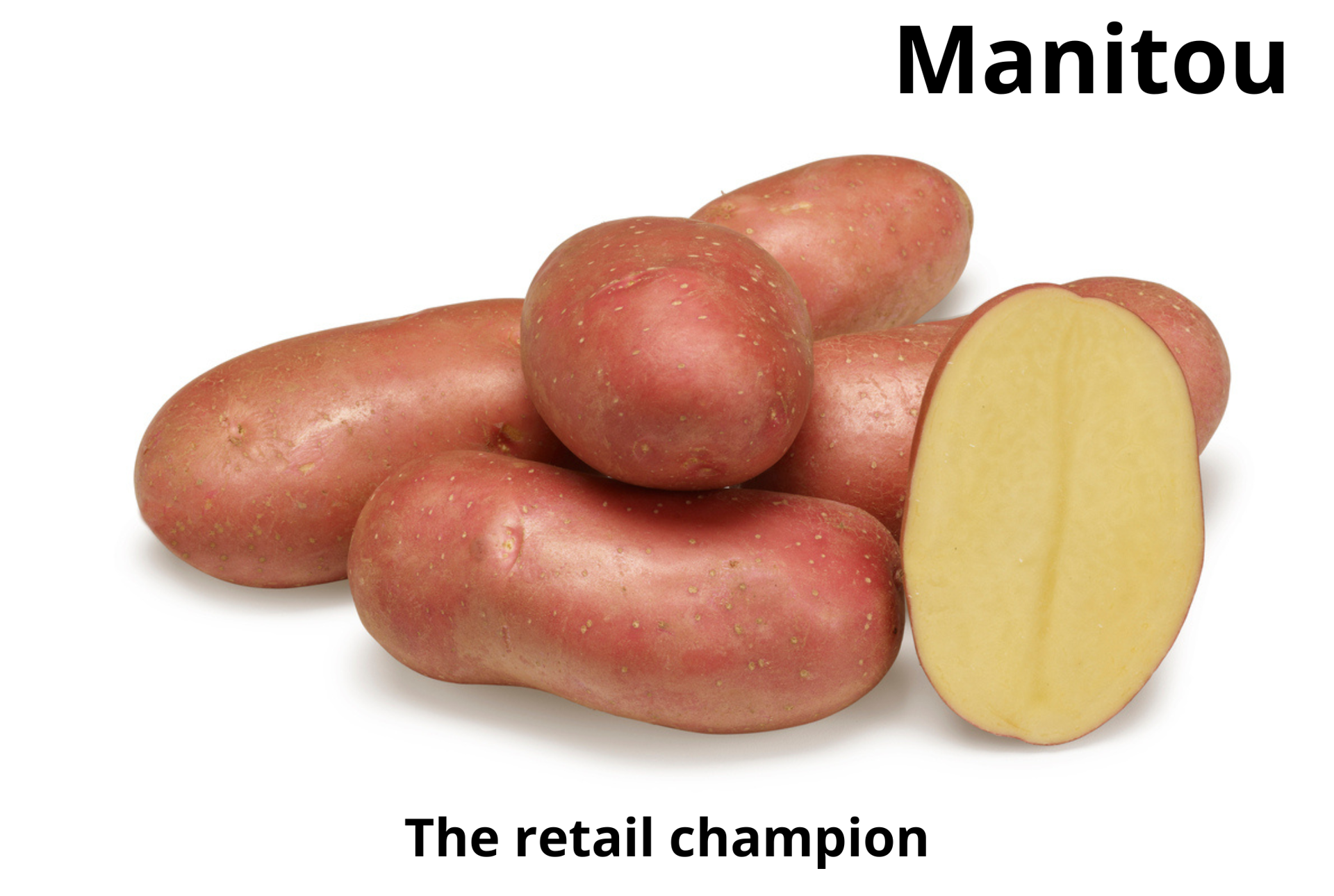 Manitou PSA (2)