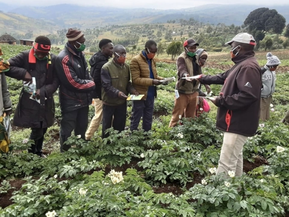 Card Training On Site 2