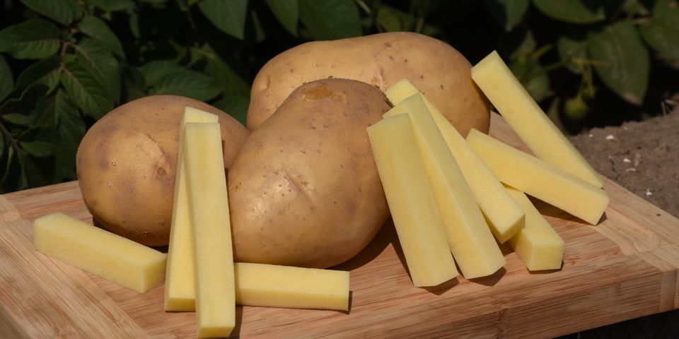 Potato markies with pieces of French Fries