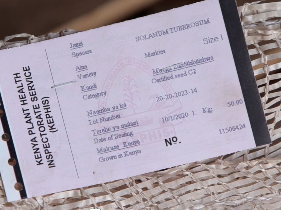 Kephis certificate Markies potato