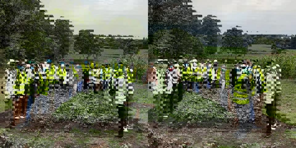 PSA Training