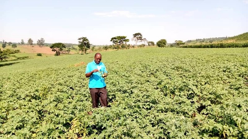 Farmers Uganda Markies