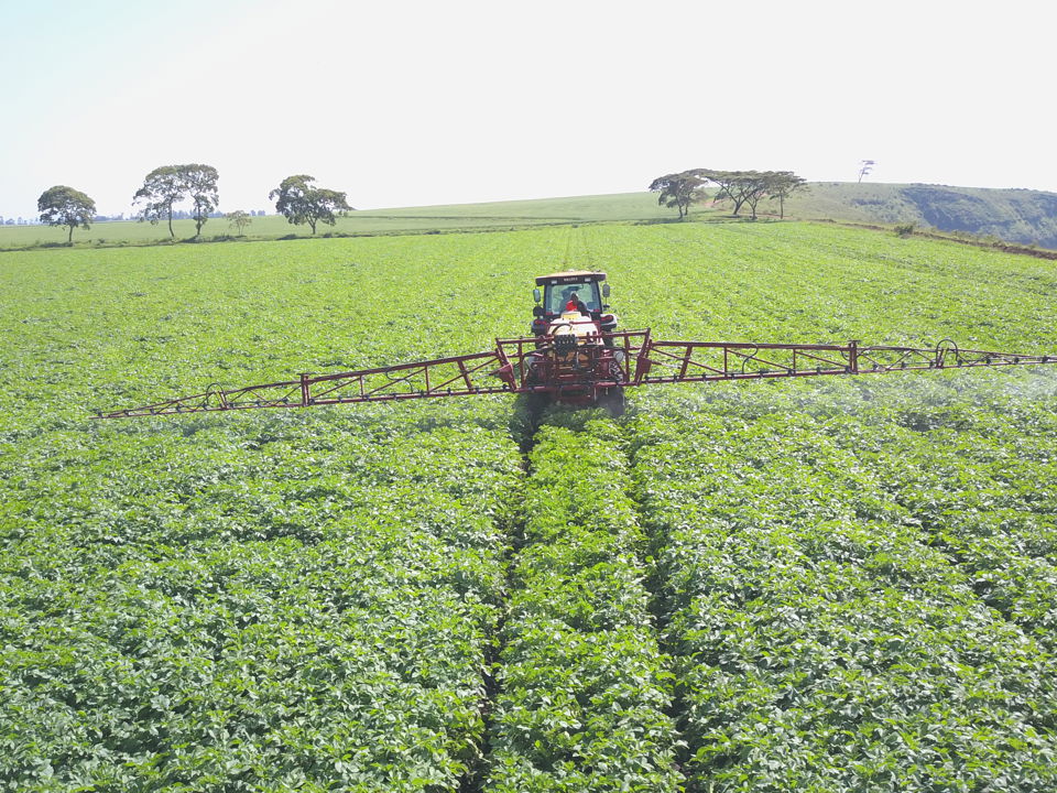 Potato farmer spraying his potato field