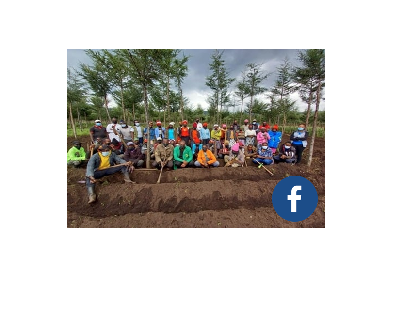 Kenya Potato Farmers V3