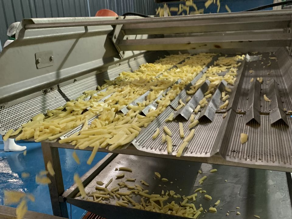 Potato Processing